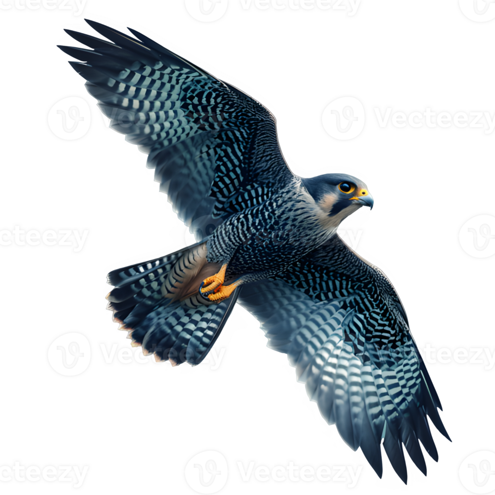 AI generated falcon bird flying isolated on transparent background ,flying eagle png ,generative ai