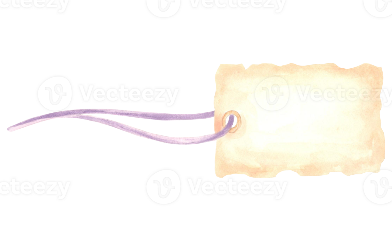 waterverf geschenk label Aan lint in delicaat perzik kleur. geïsoleerd hand- getrokken illustratie met kopiëren ruimte voor tekst. leeg sjabloon voor verkoop reclame, boeket en ansichtkaart, vakantie verpakking en geschenk png