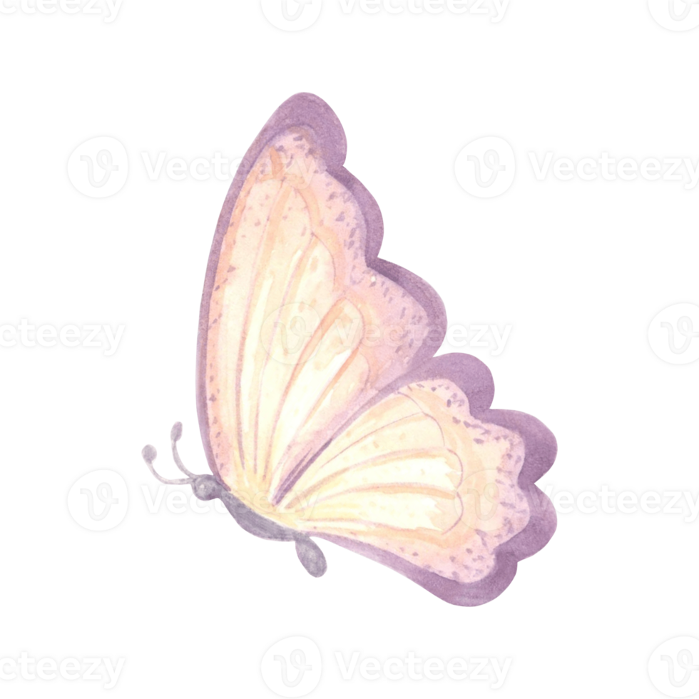 Watercolor flying butterfly delicate peach fuzz color. Isolated hand drawn illustration spring exotic wild insect. Template drawing for card, packaging and tableware, textile and sticker, embroidery. png