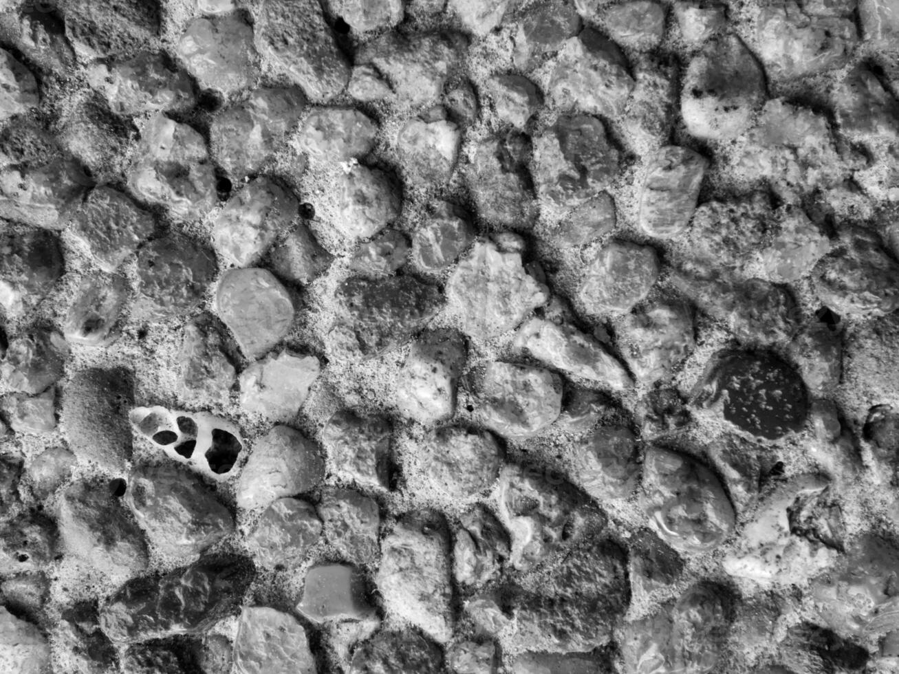 Fossil of seashell mixed in the gravel of exposed aggregate finish flooring photo