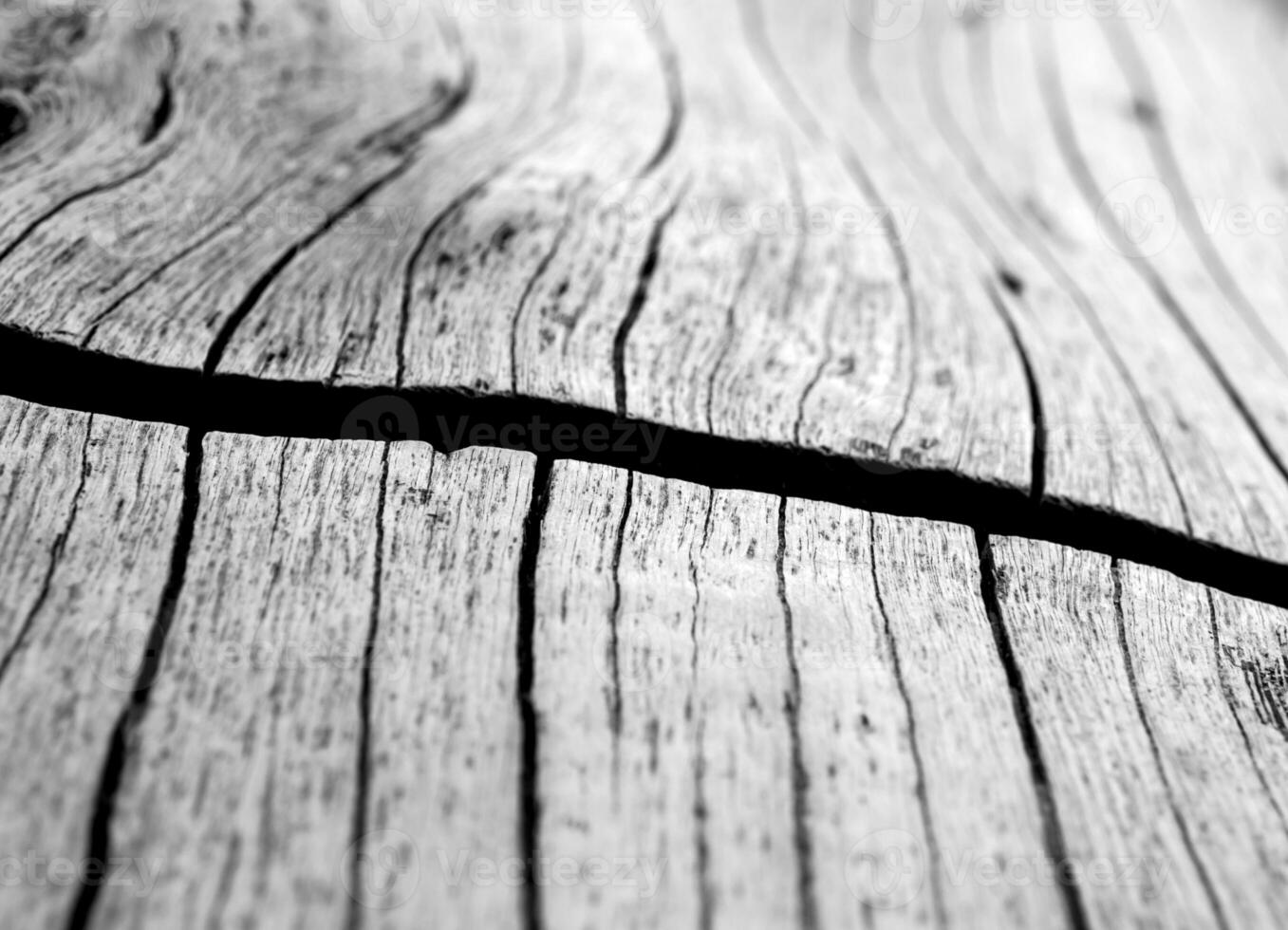 Close up to old stump surface texture, wooden texture photo