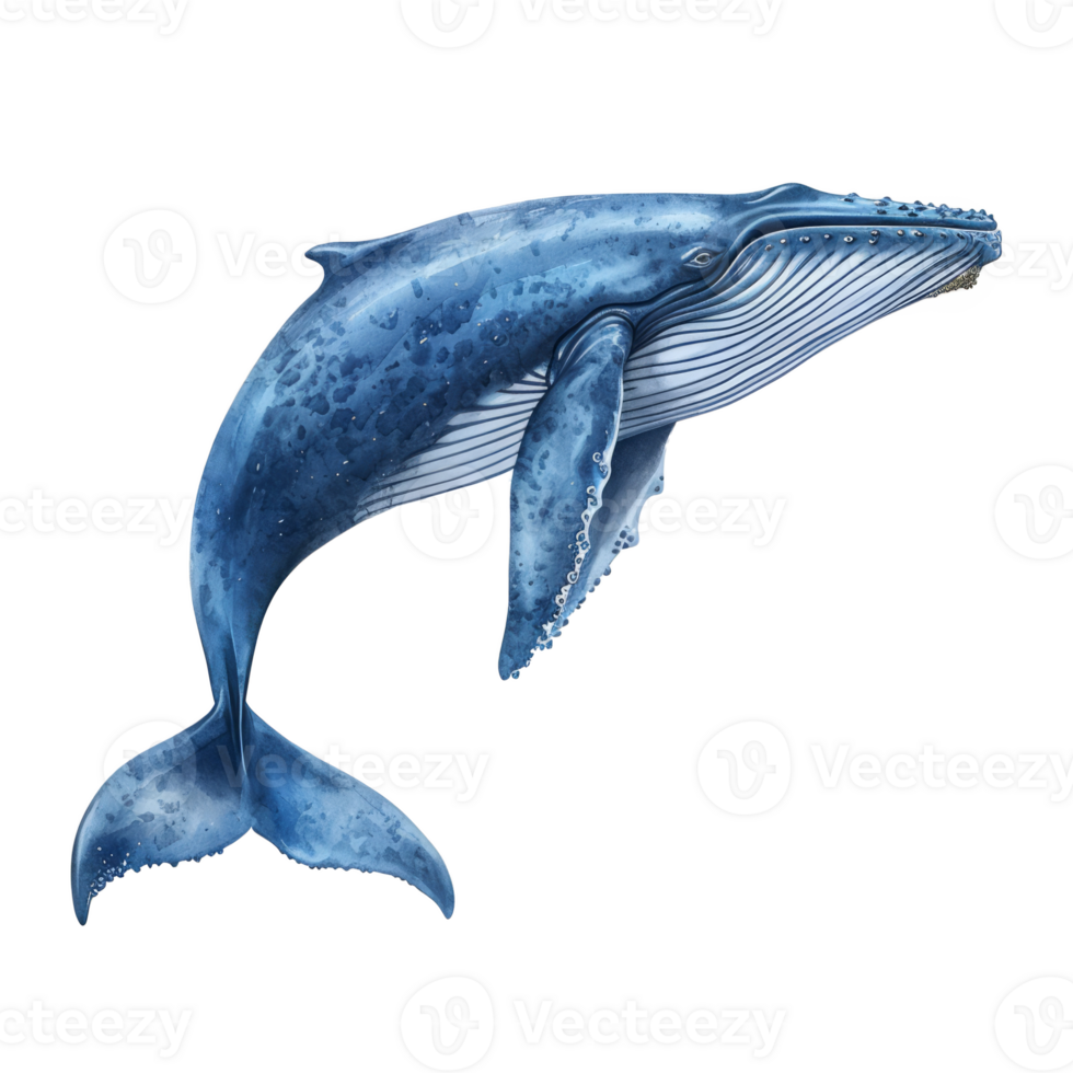 AI generated Blue Whale isolated on transparent background png