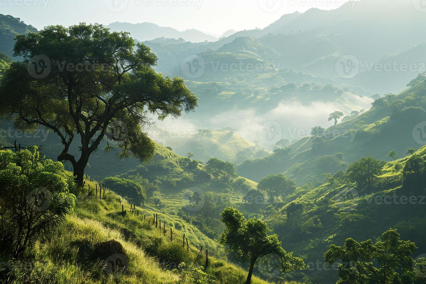 AI generated Beautiful view of summer Green hills and a tree forest mountain. Nature and landscape travel. photo