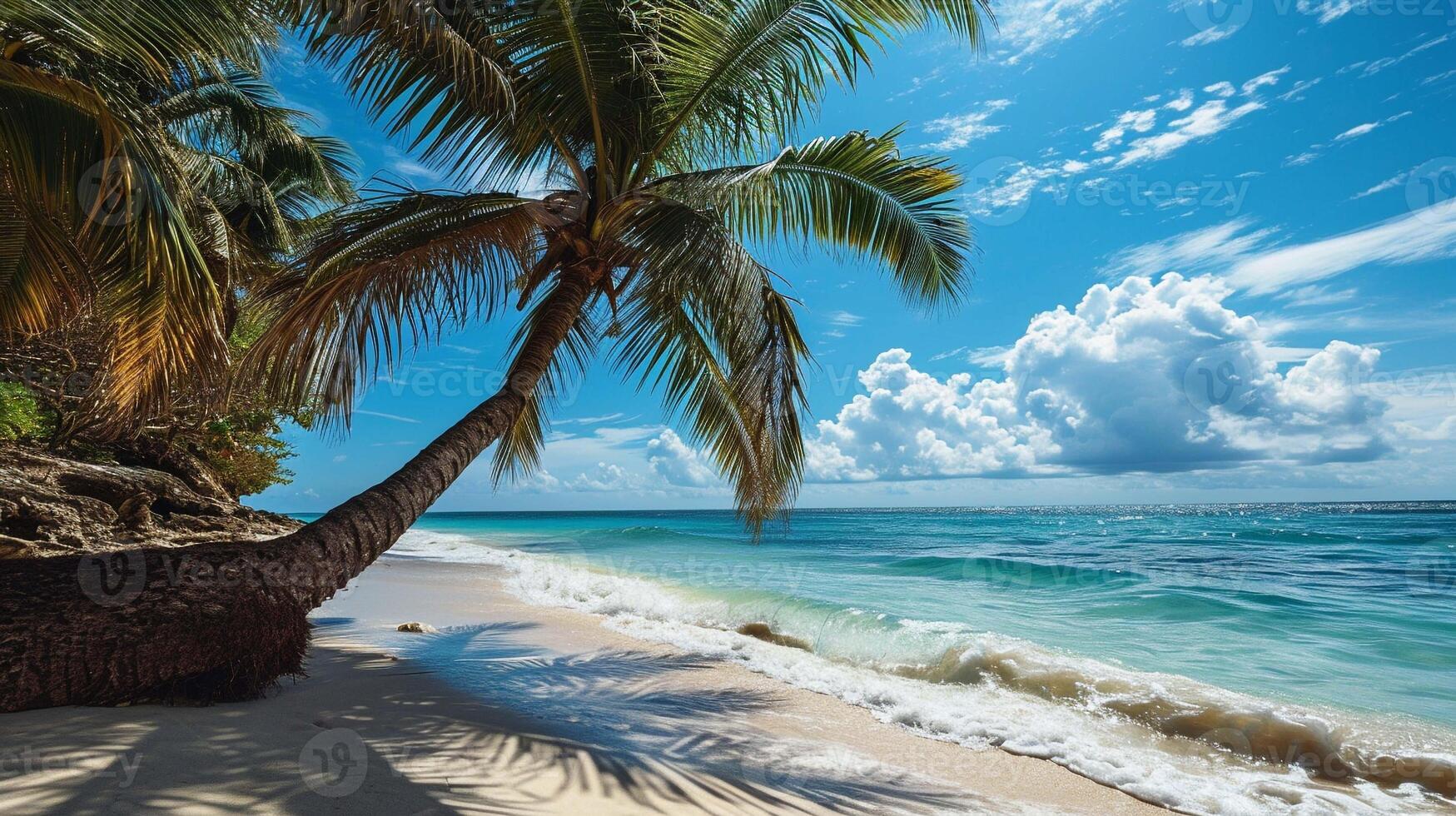 Tropical sea summer. Beach and palm trees. Nature and landscape travel. photo