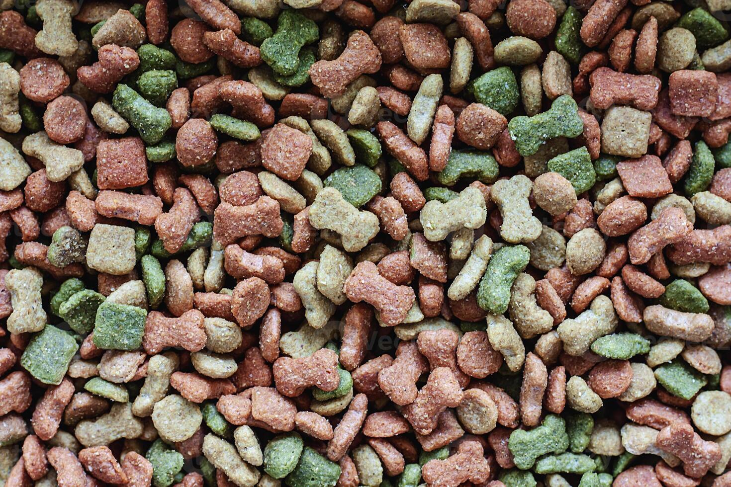 Dried pellet dog food photo