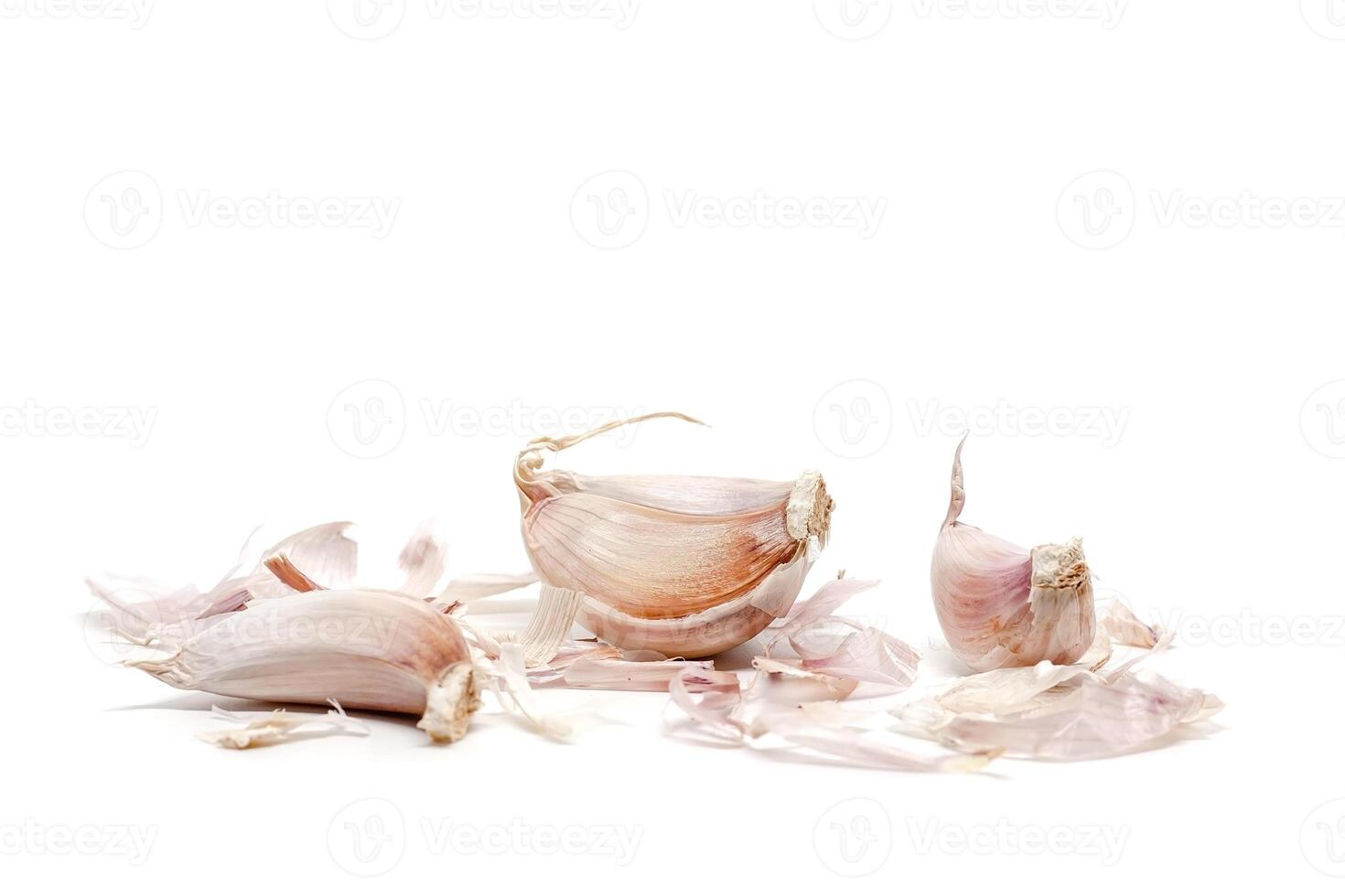 Garlic on white background photo