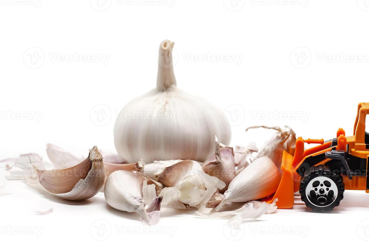 A yellow toy bulldozer with garlic on white background photo