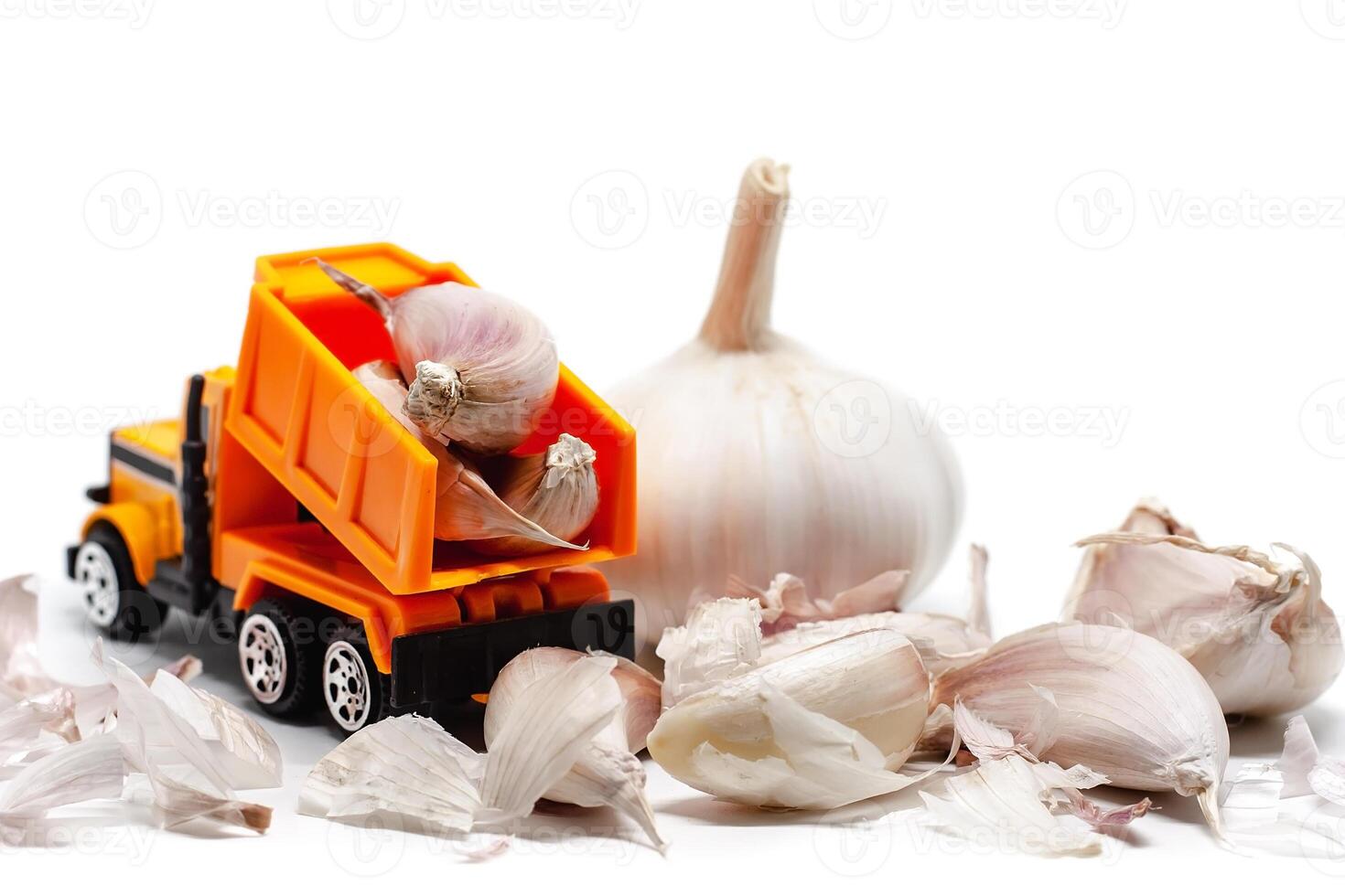 A yellow toy dump truck with garlic on white background photo