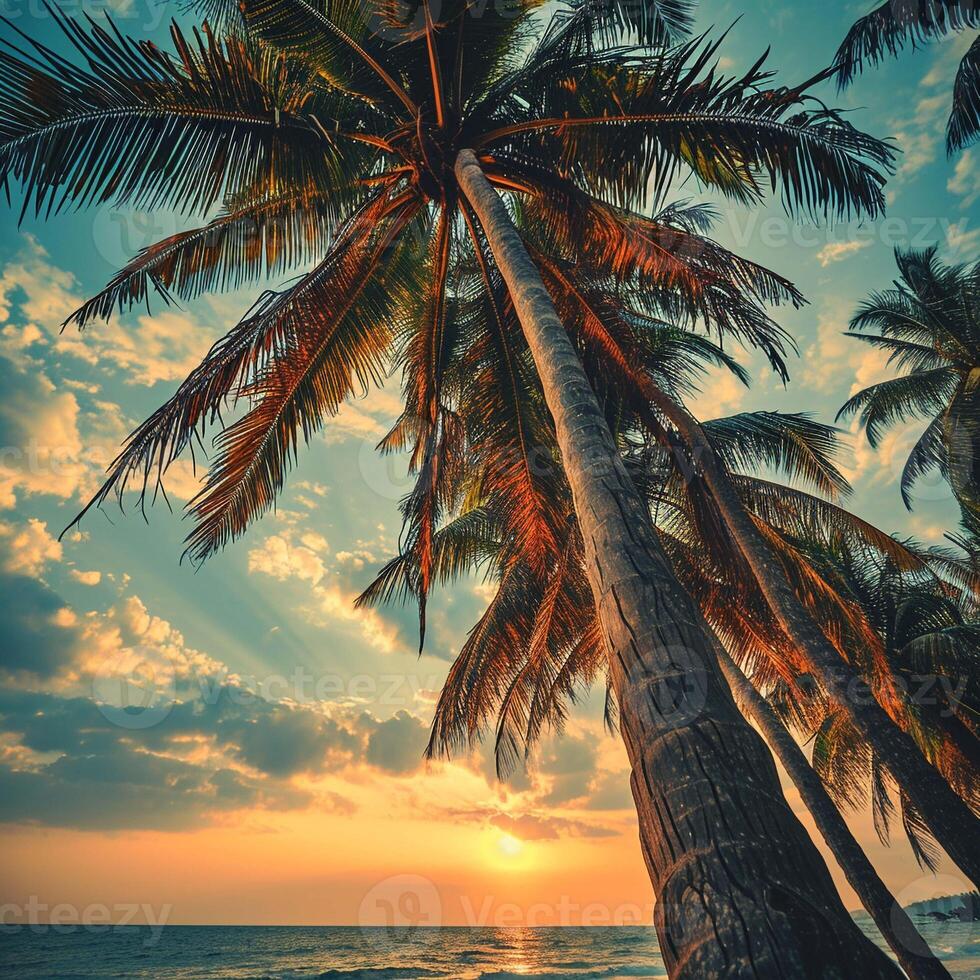 AI generated Tropical sea summer. Beach and palm trees. Nature and landscape travel. Vintage style photo