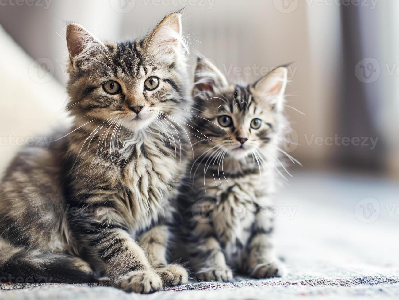 cat sitting with kitten, cute little kittens on floor, selective focus. photo
