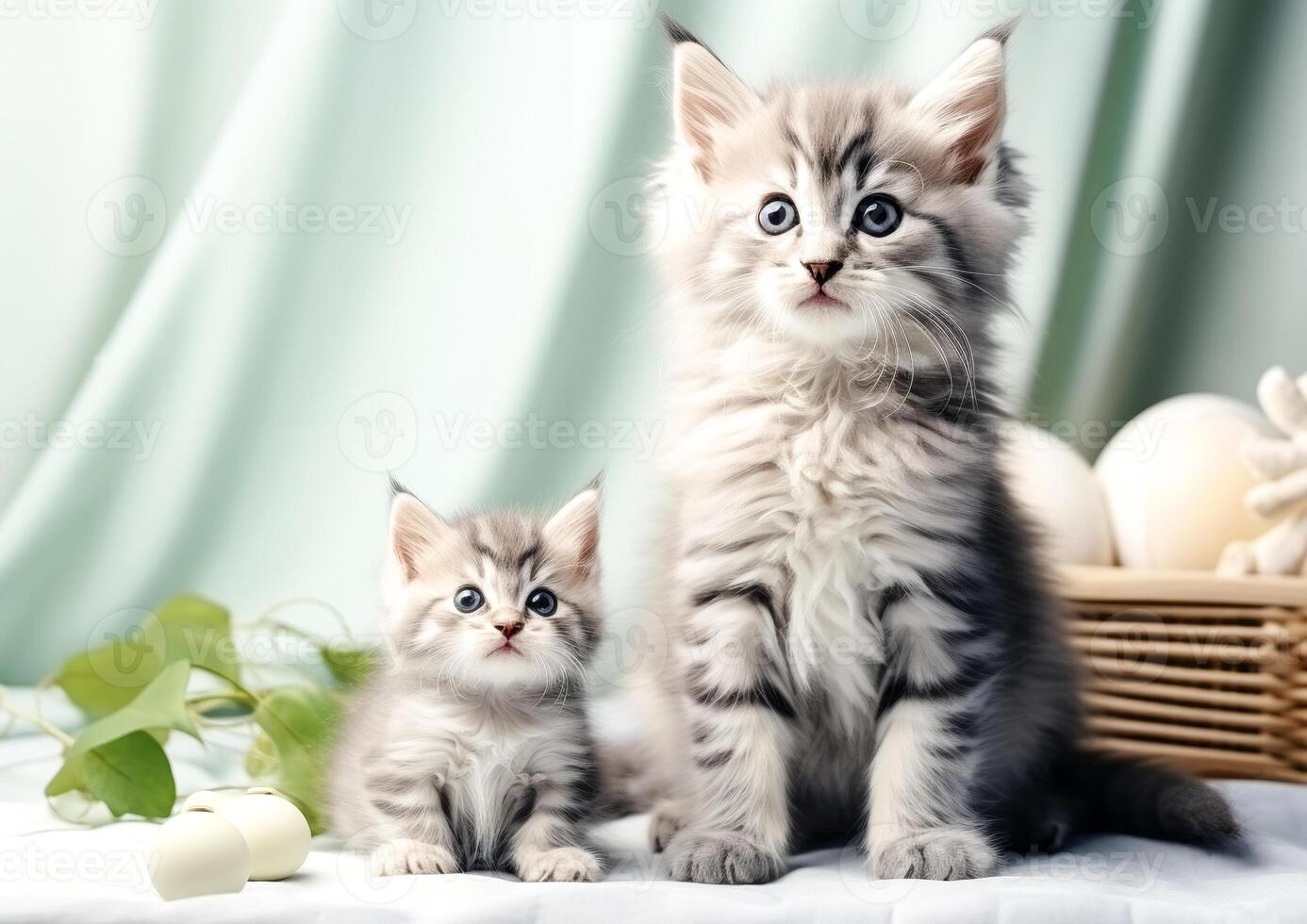 cat sitting with kitten, cute little kittens on floor, selective focus. photo