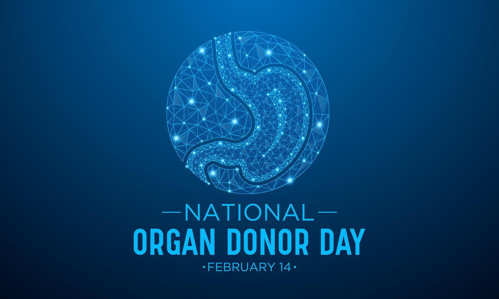 National Organ Donor Day is observed every year in February 14. National Donor Day. Health and Medical Awareness Vector template for banner, card, poster and background design. Vector illustration.