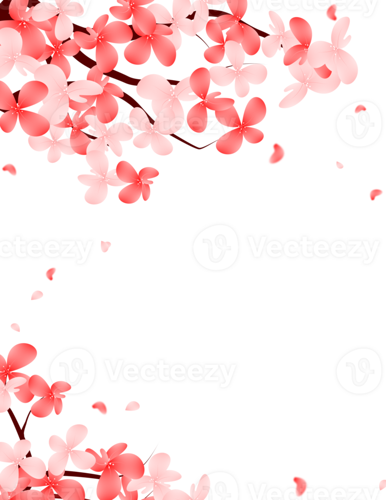 Sakura Bloom Falling Petals Frame. Cherry Blossom Flowers Branch Border Background. png