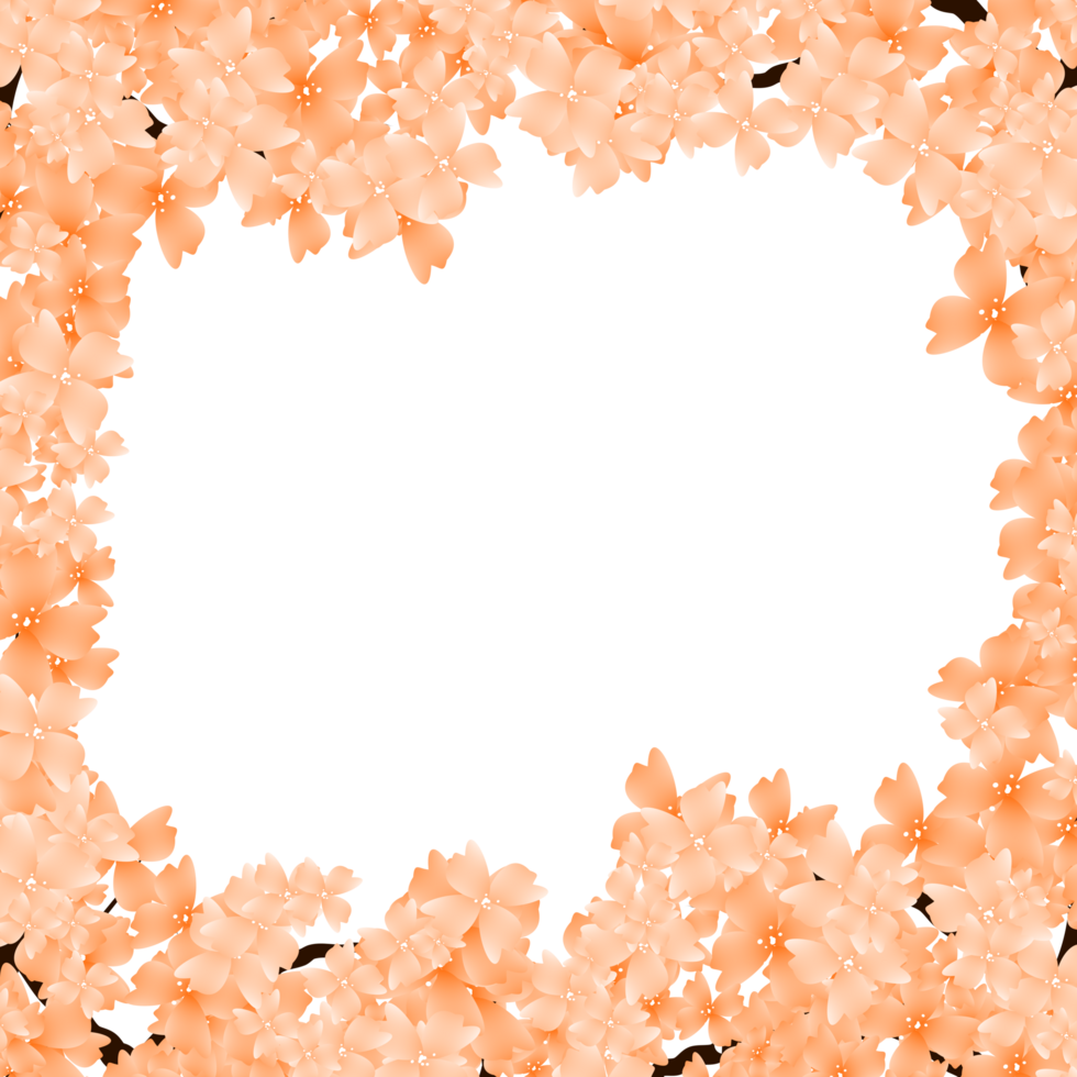 Blooming Sakura Flowers Frame. Cherry Blossom Spring Border. Falling petals background png