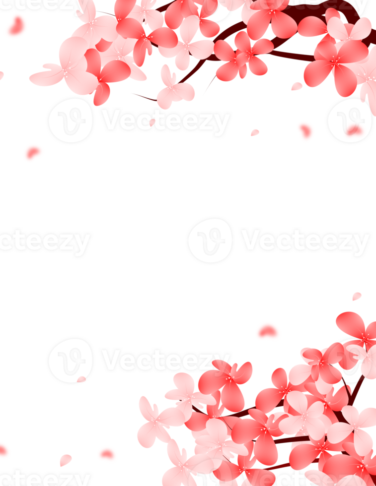 Sakura Bloom Falling Petals Frame. Cherry Blossom Flowers Branch Border Background. png