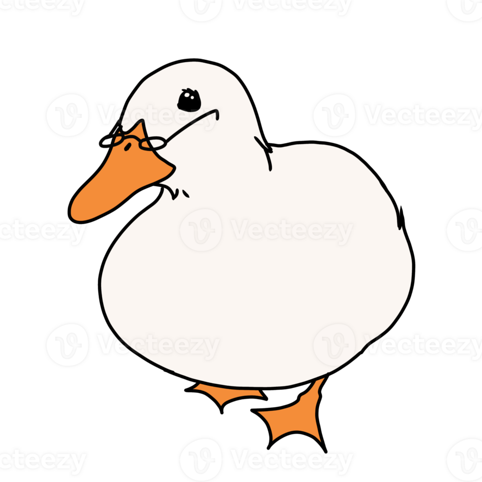 Duck wearing glasses png