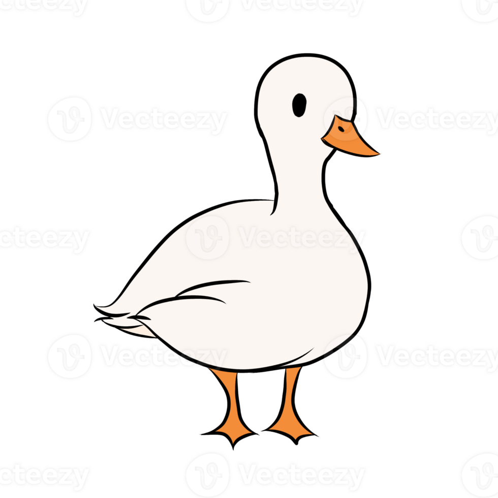 Cute duck original png