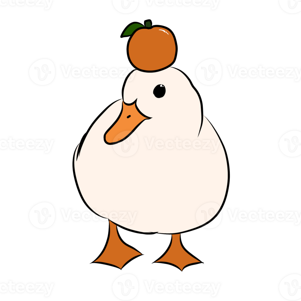 Duck with orange png