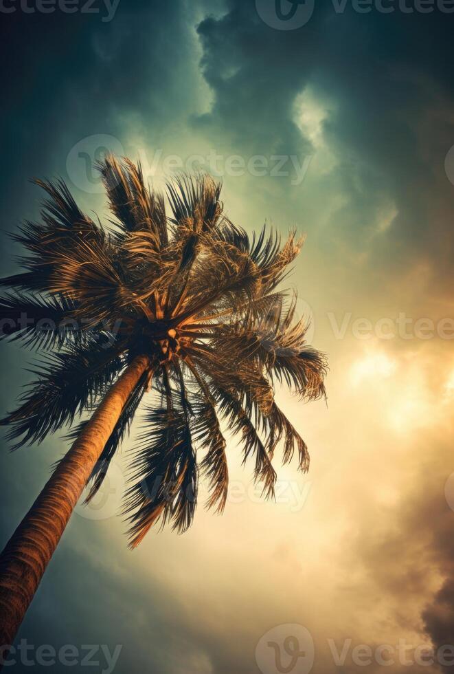 AI generated A tropical coconut with evening sky photo