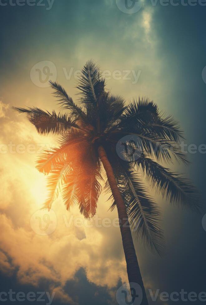 AI generated A tropical coconut with evening sky photo