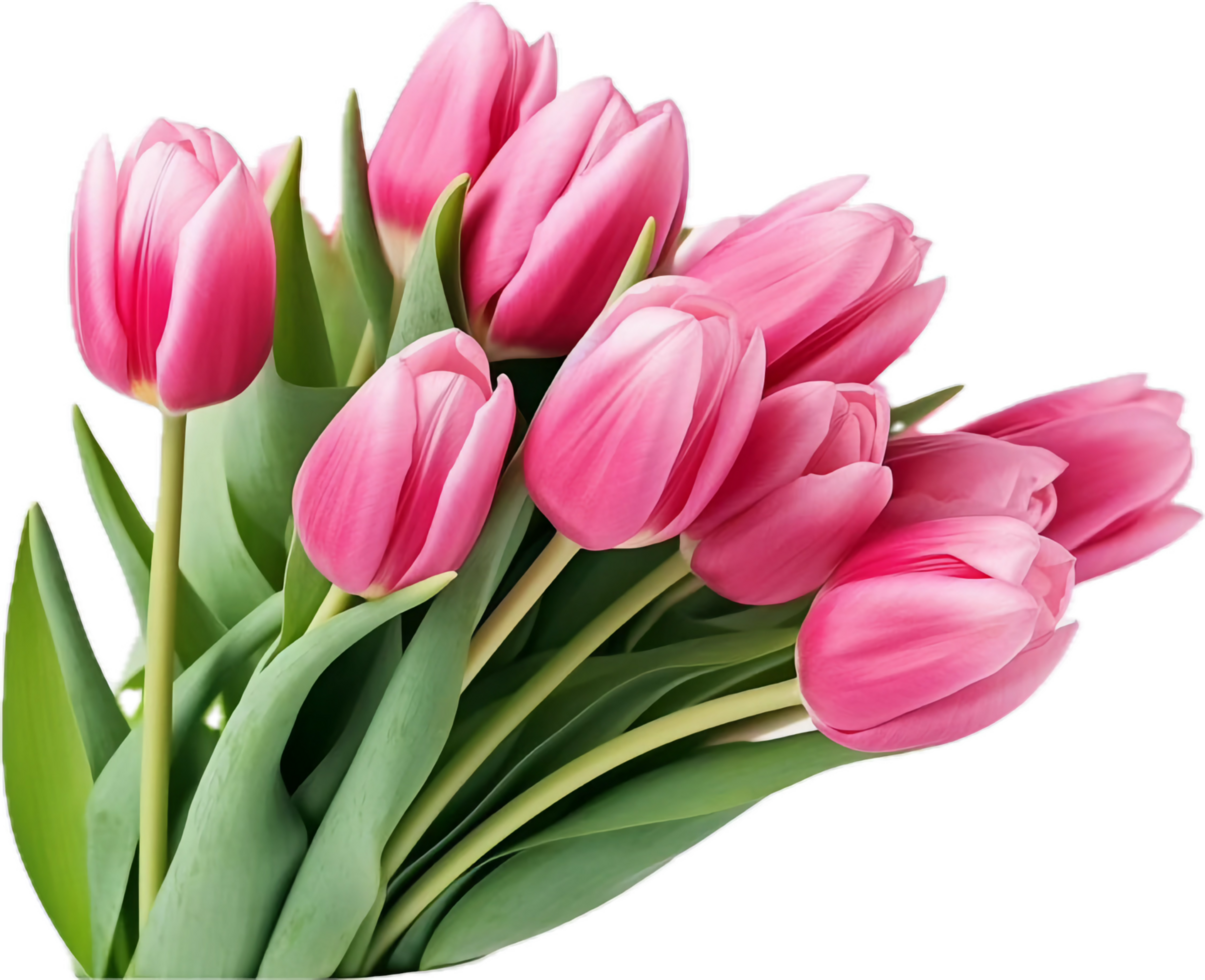 AI generated bouquet of pink tulips png