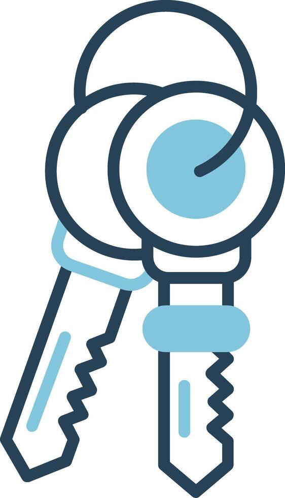 Keys Vector Icon