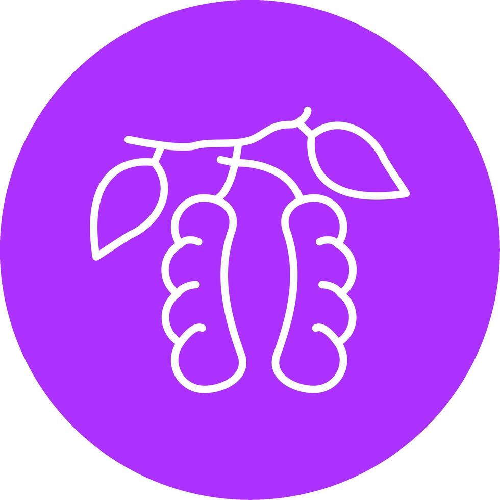 Tamarind Line Multicircle Icon vector