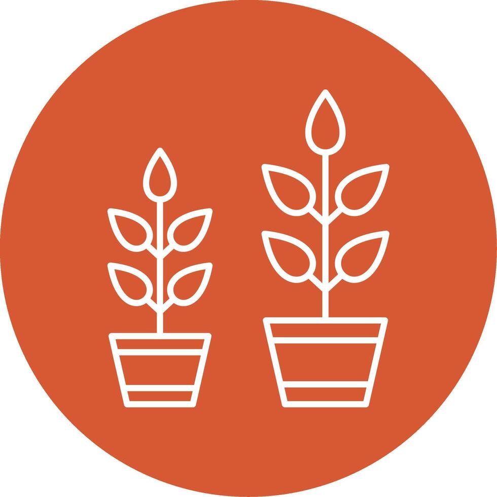 Grow Plant Line Multicircle Icon vector