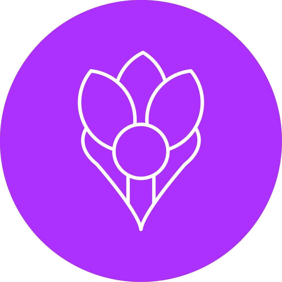 Crocus Line Multicircle Icon vector