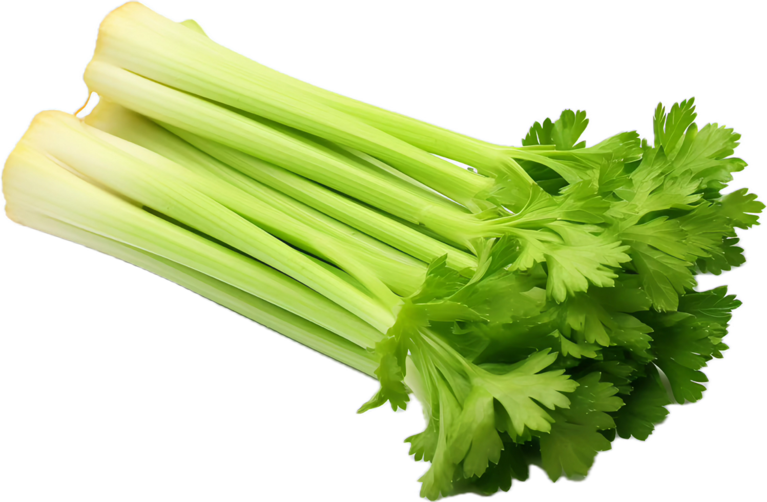AI generated celery sticks png