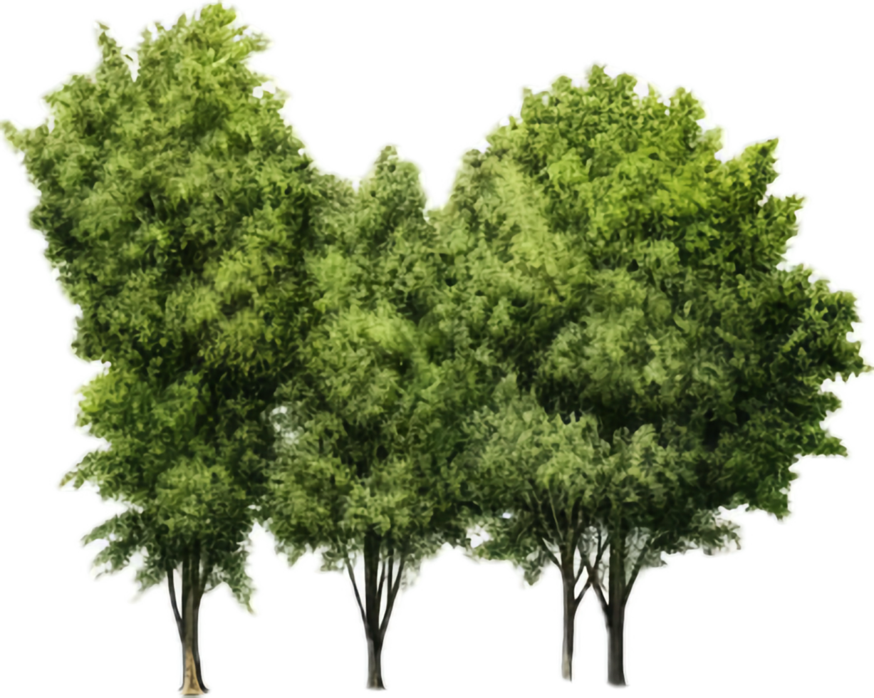AI generated Trees natural png