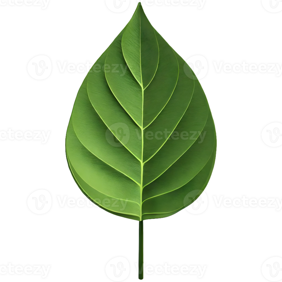 AI generated 3d green leaf isolated on transparent background png