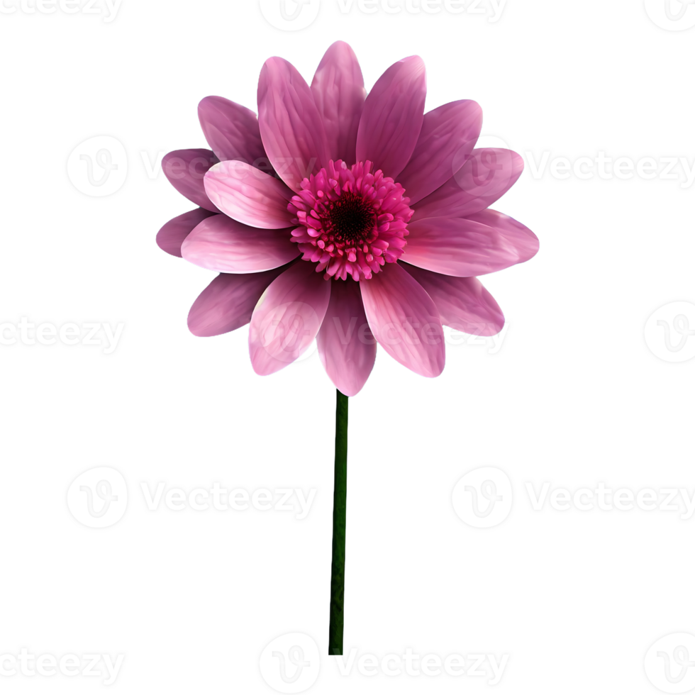 AI generated 3d pink flower isolated on transparent background png