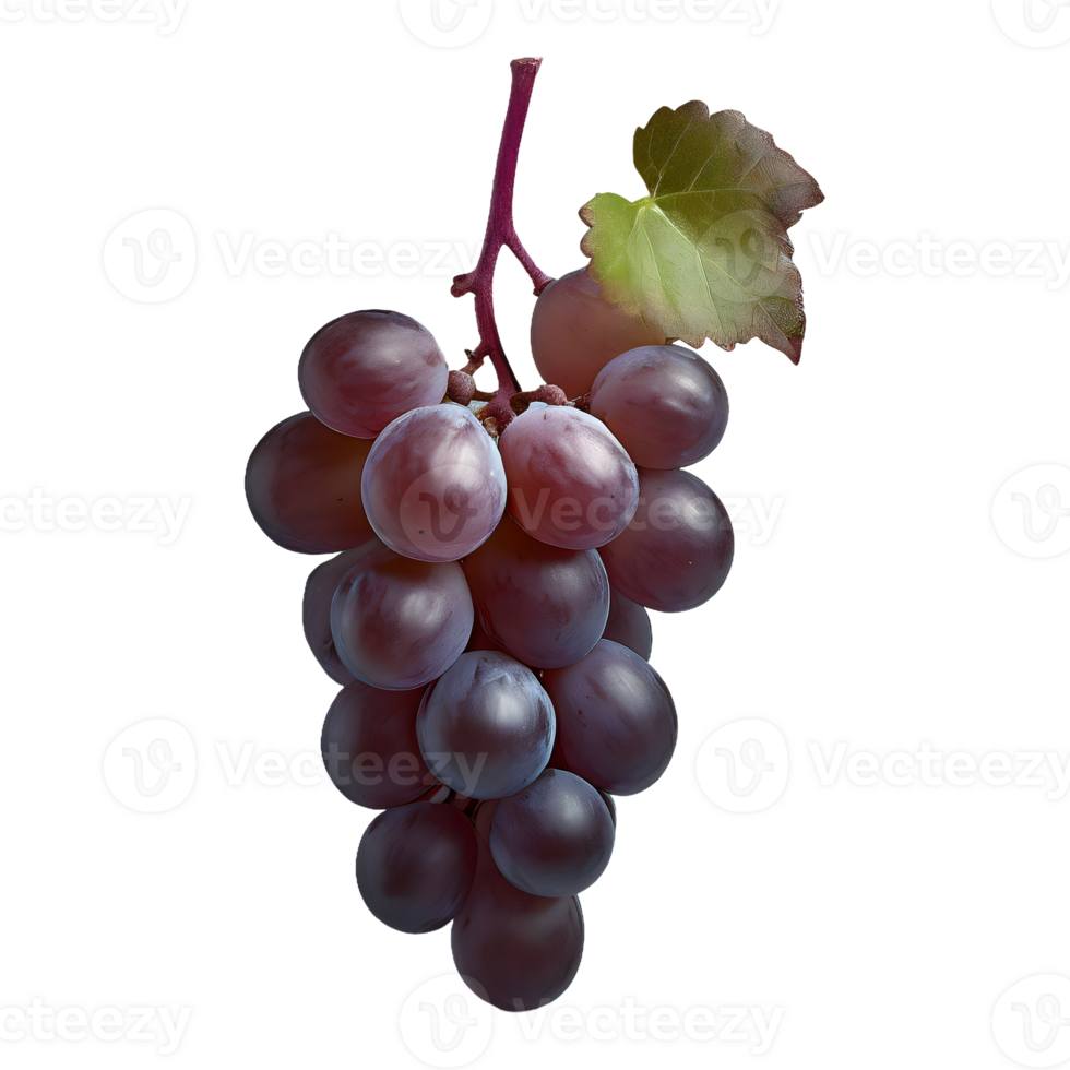 AI generated Zinfandel grape fruit isolated on transparent background png