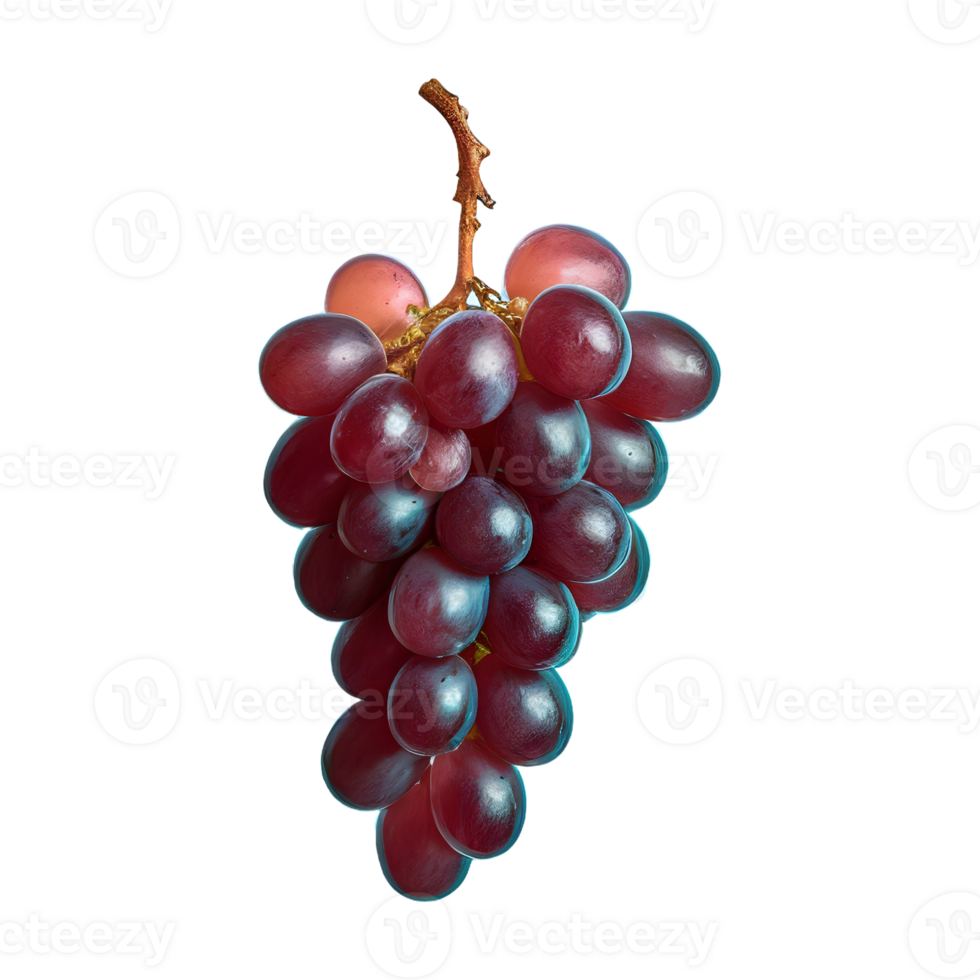AI generated Zinfandel grape fruit isolated on transparent background png