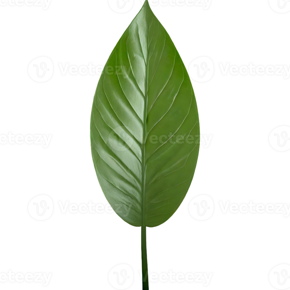 AI generated 3d green leaf isolated on transparent background png
