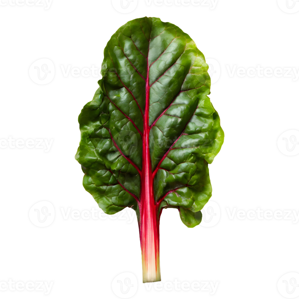 AI generated Fresh swiss chard vegetable isolated on transparent background png