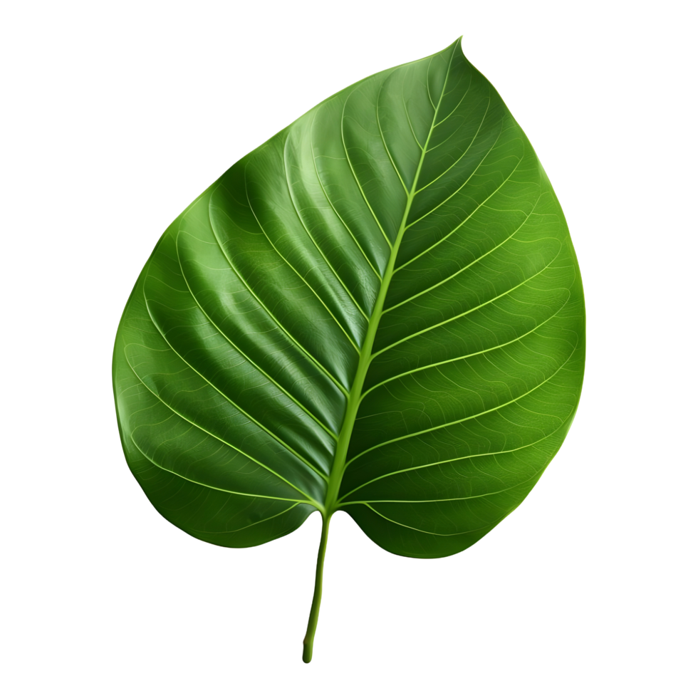 AI generated Green Leaf on Transparent background - Ai Generated png