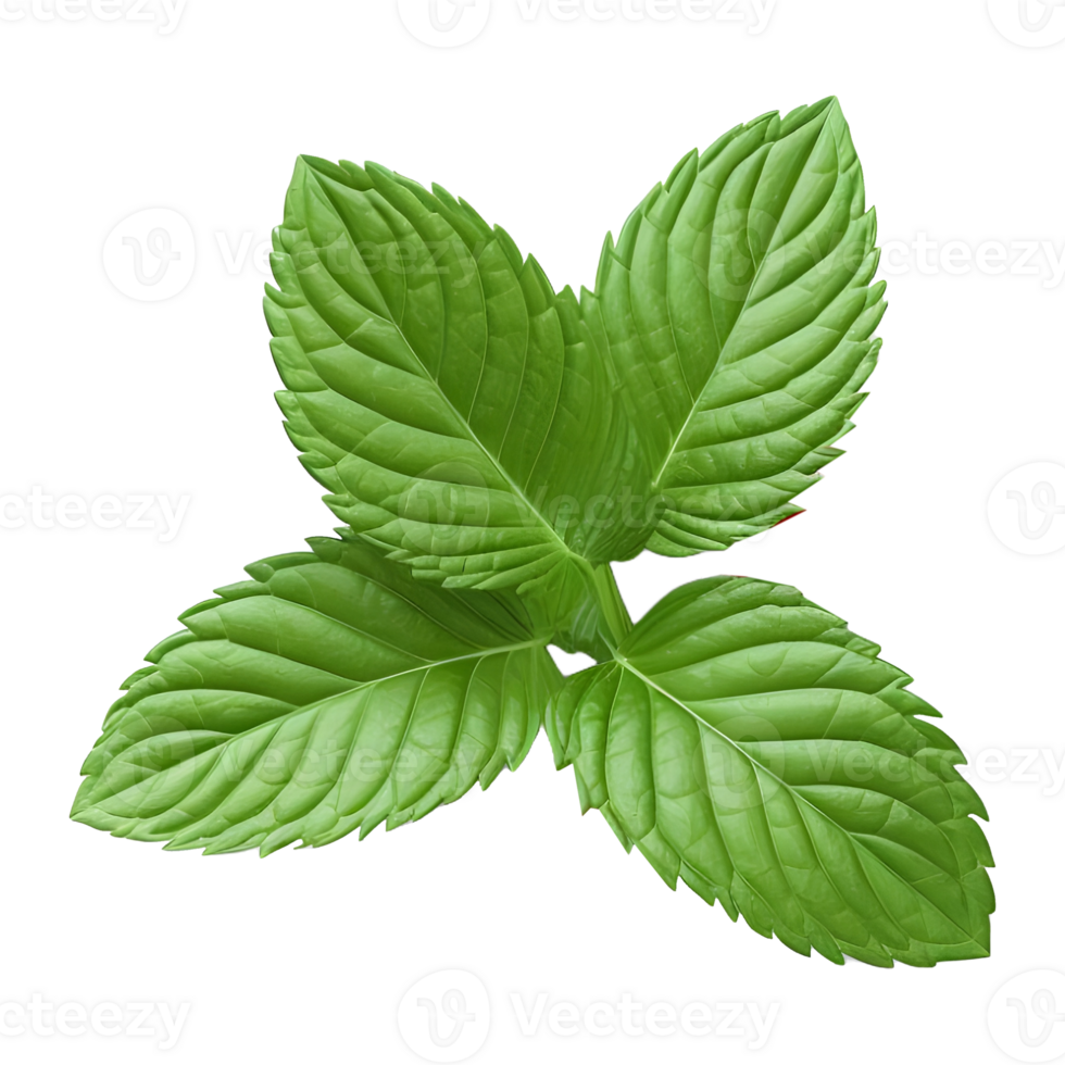 AI generated Green Leaves on Transparent background - Ai Generated png