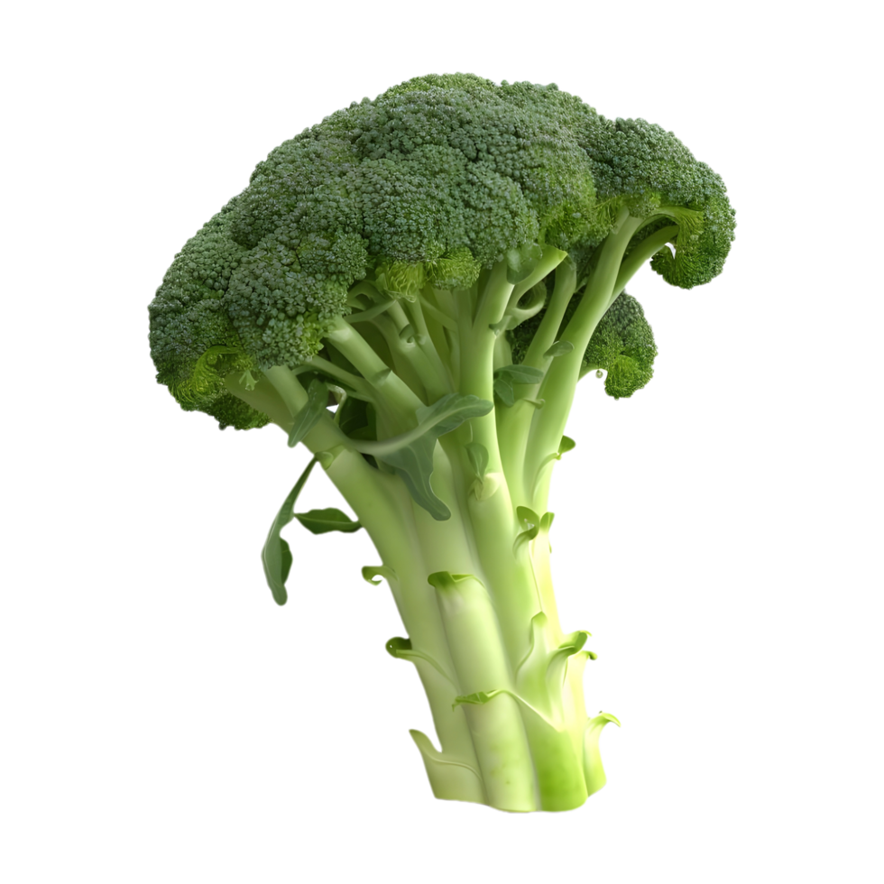 AI generated 3D Rendering of a Green Broccoli on Transparent Background - Ai Generated png