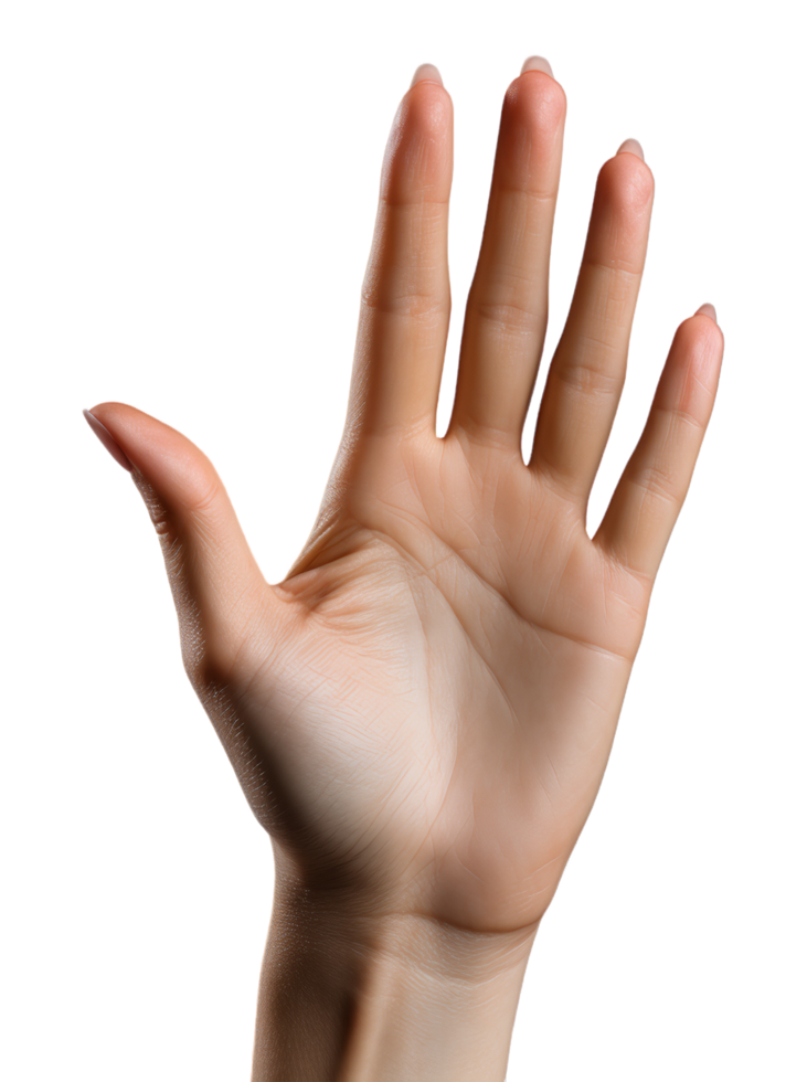 AI generated raised hand with five fingers isolated on transparent background, generative ai png