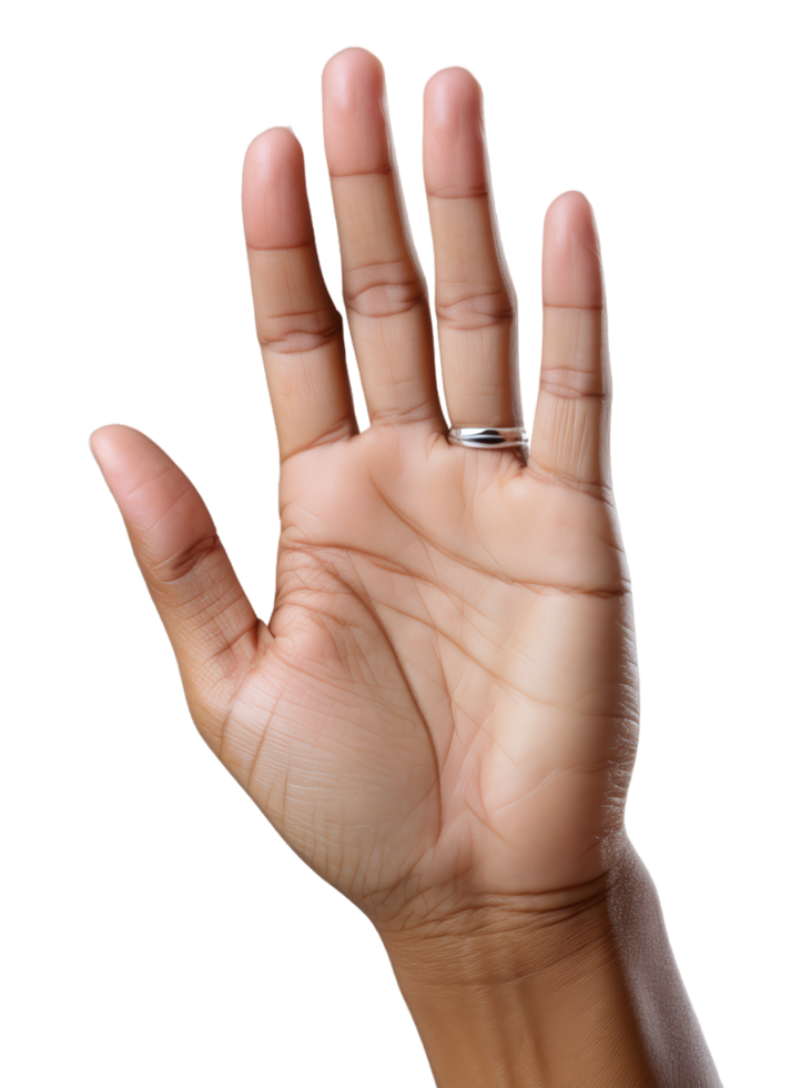 AI generated raised hand with five fingers isolated on transparent background, generative ai png