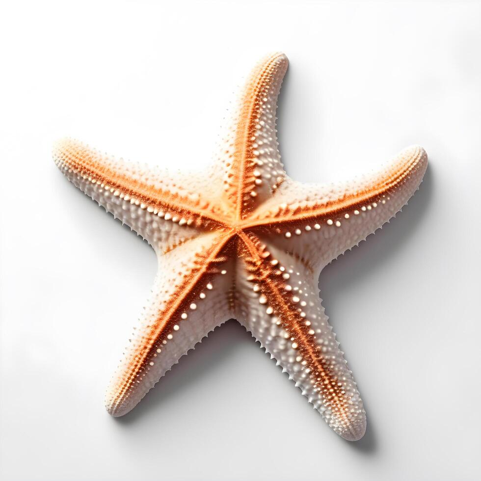 AI generated starfish isolated white background. ai generative photo