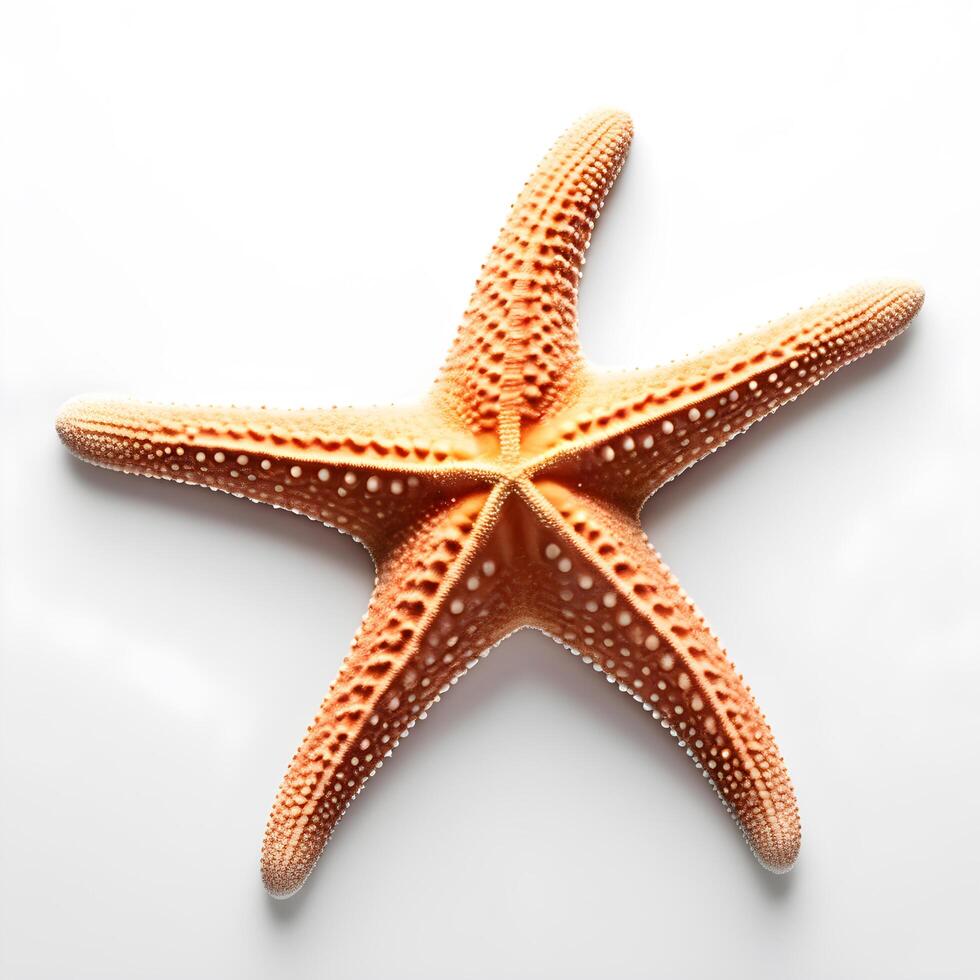 AI generated starfish isolated white background. ai generative photo