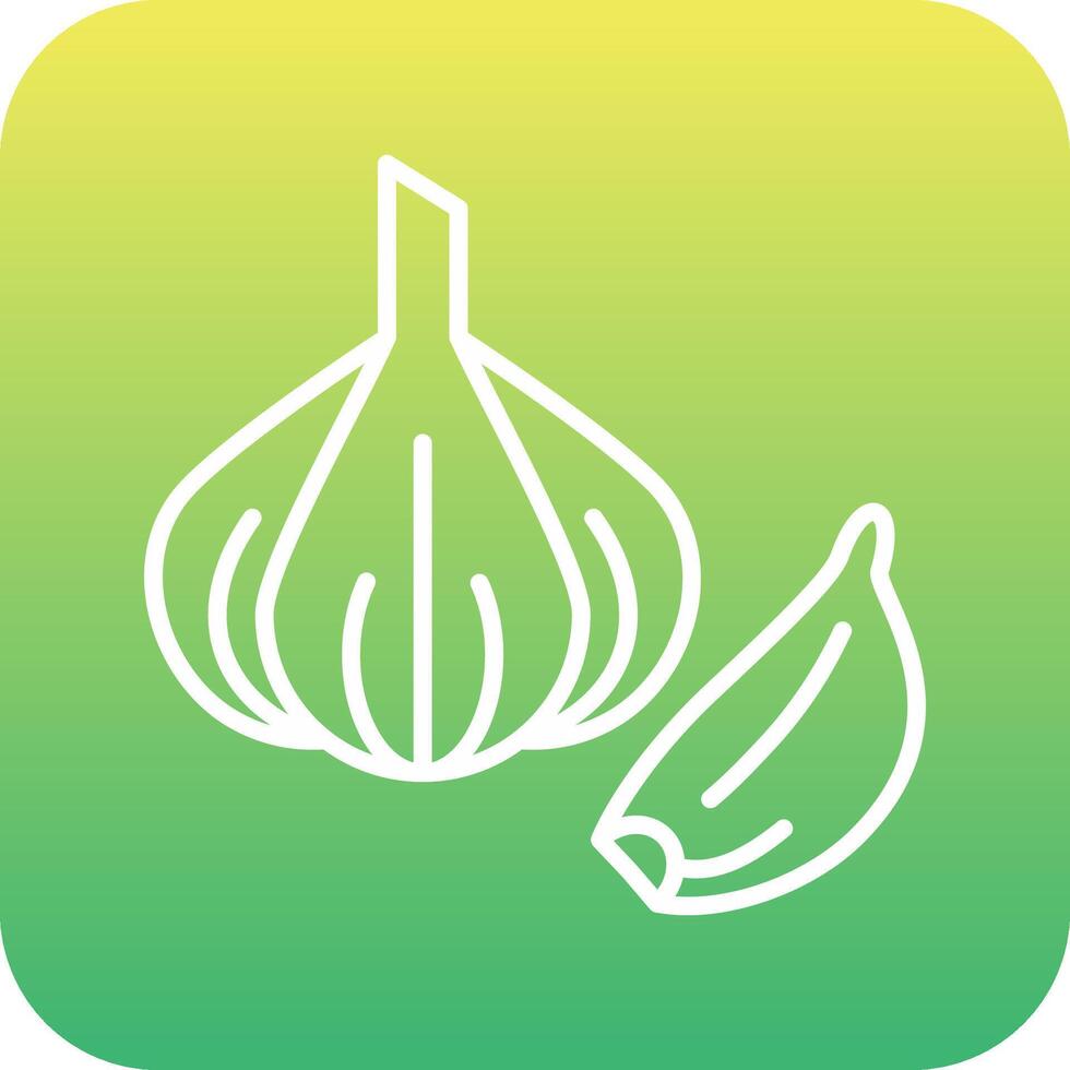 Garlic Vector Icon