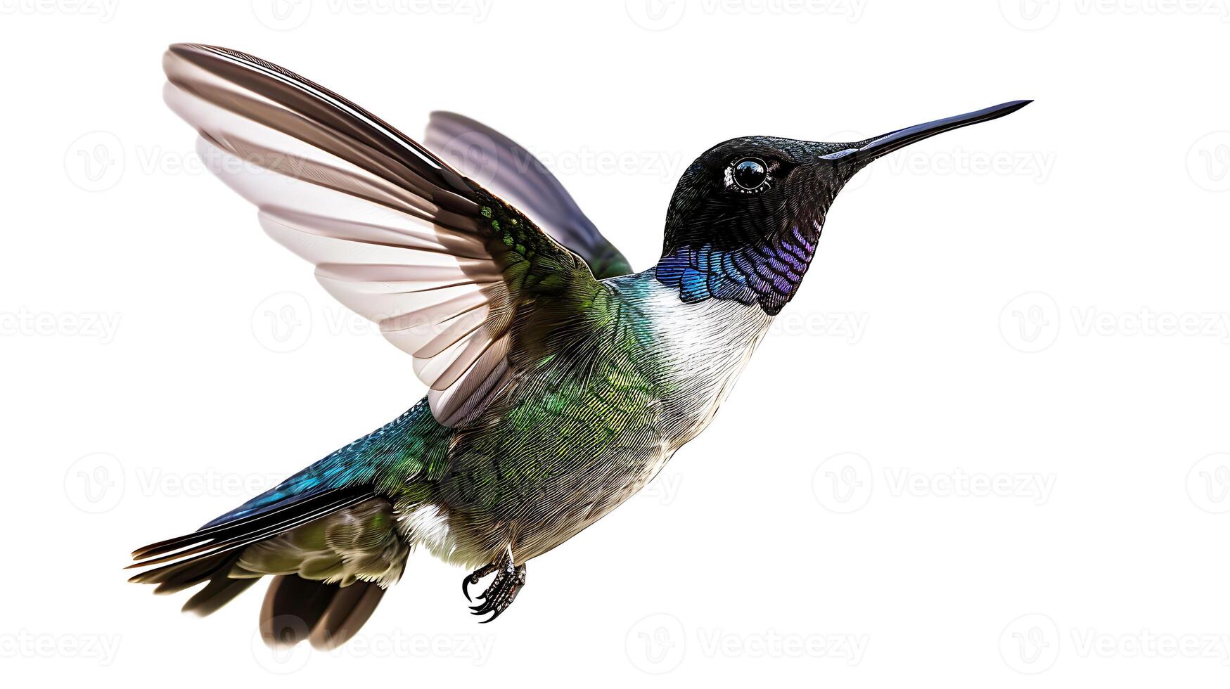 ai generado ver de un hermosa colibrí pájaro foto