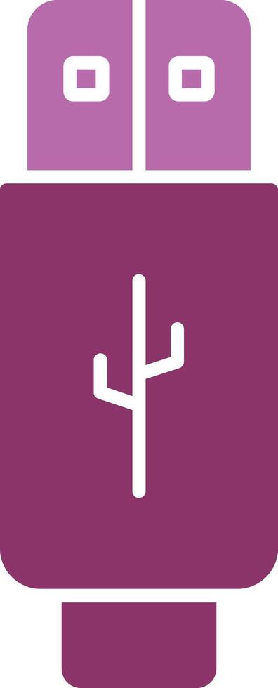 Usb Glyph Two Colour Icon vector