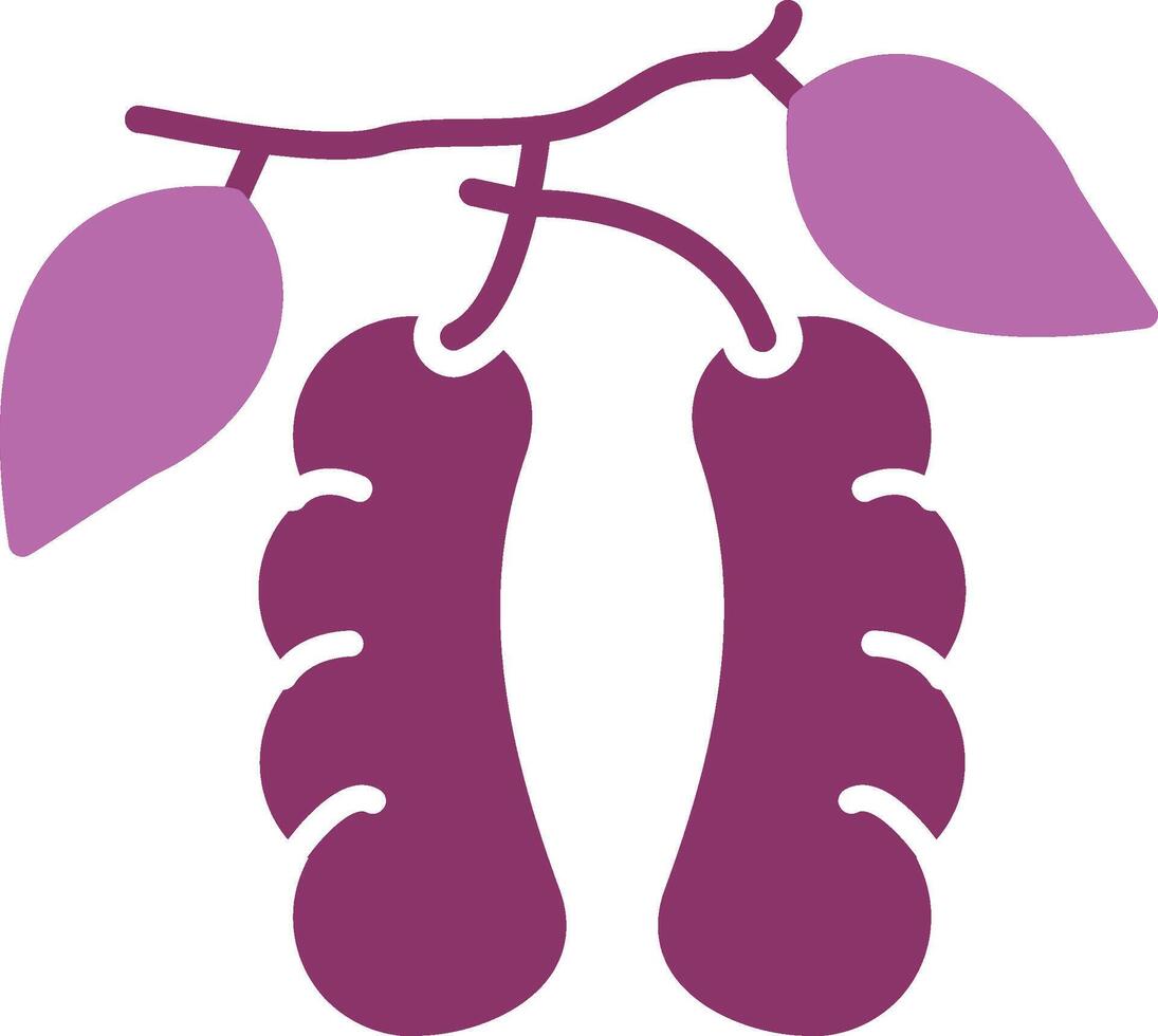 Tamarind Glyph Two Colour Icon vector