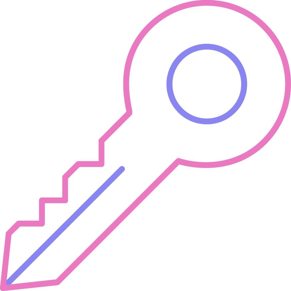 Key Linear Two Colour Icon vector