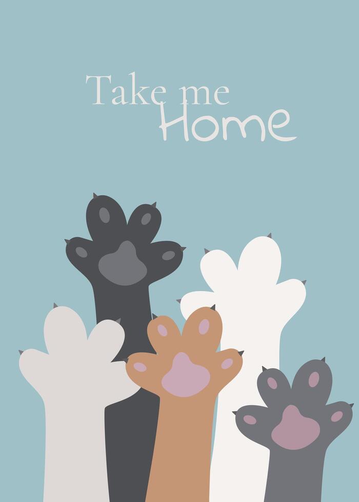 Banner with cat paws of different colors and the inscription take me home. Flyer for animal shelter vector